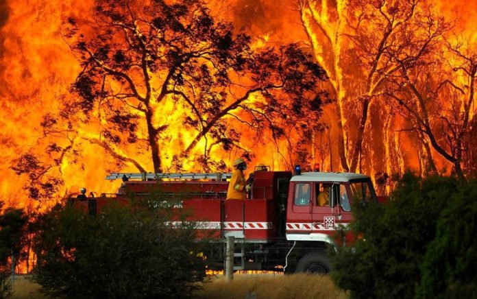 Australian Bush Fires & The Impact they are having on our Oceans & Waterways.