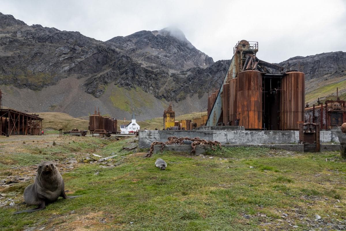 Abandoned South Georgia Whaling Station