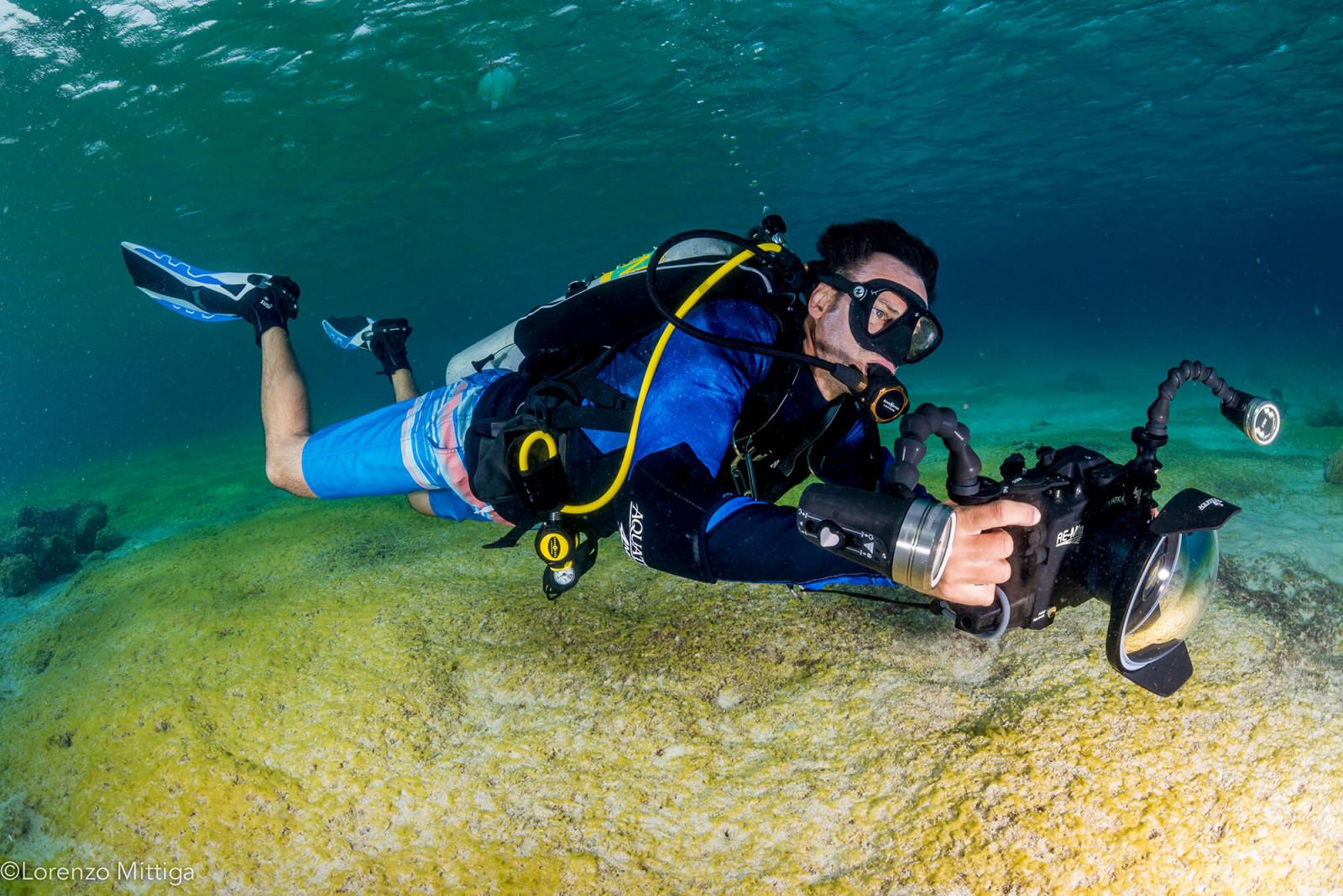 Distracted while diving