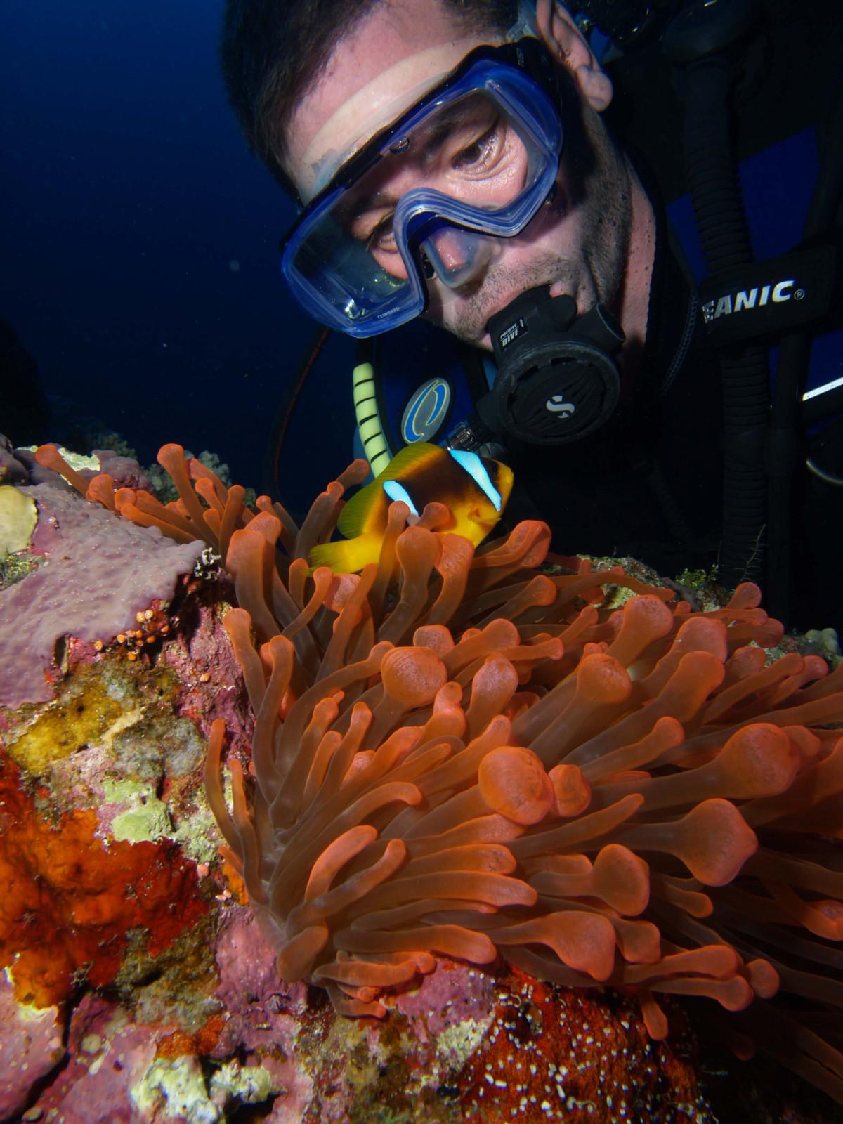 10 reasons to dive the Egyptian Red Sea (4)