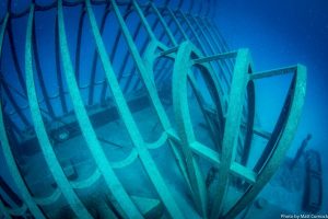 The Green House at John Brewer Reef