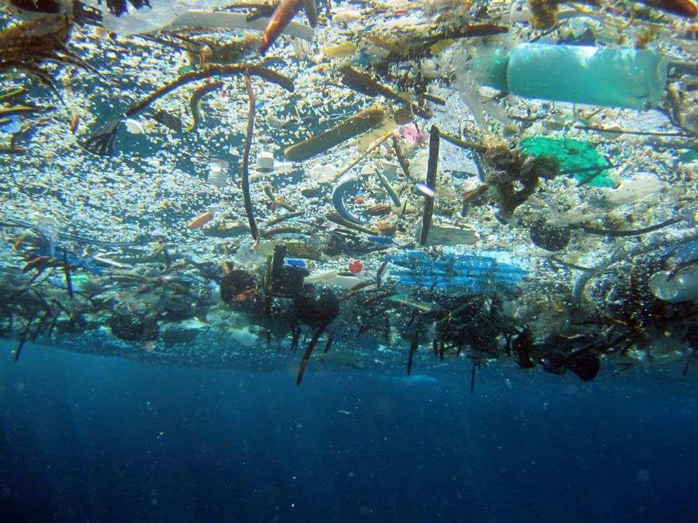 10 Amazing Underwater Documentaries 9 Plastic Pollution in the Ocean