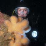 Scuba Dive at Drawna Rocks (6)