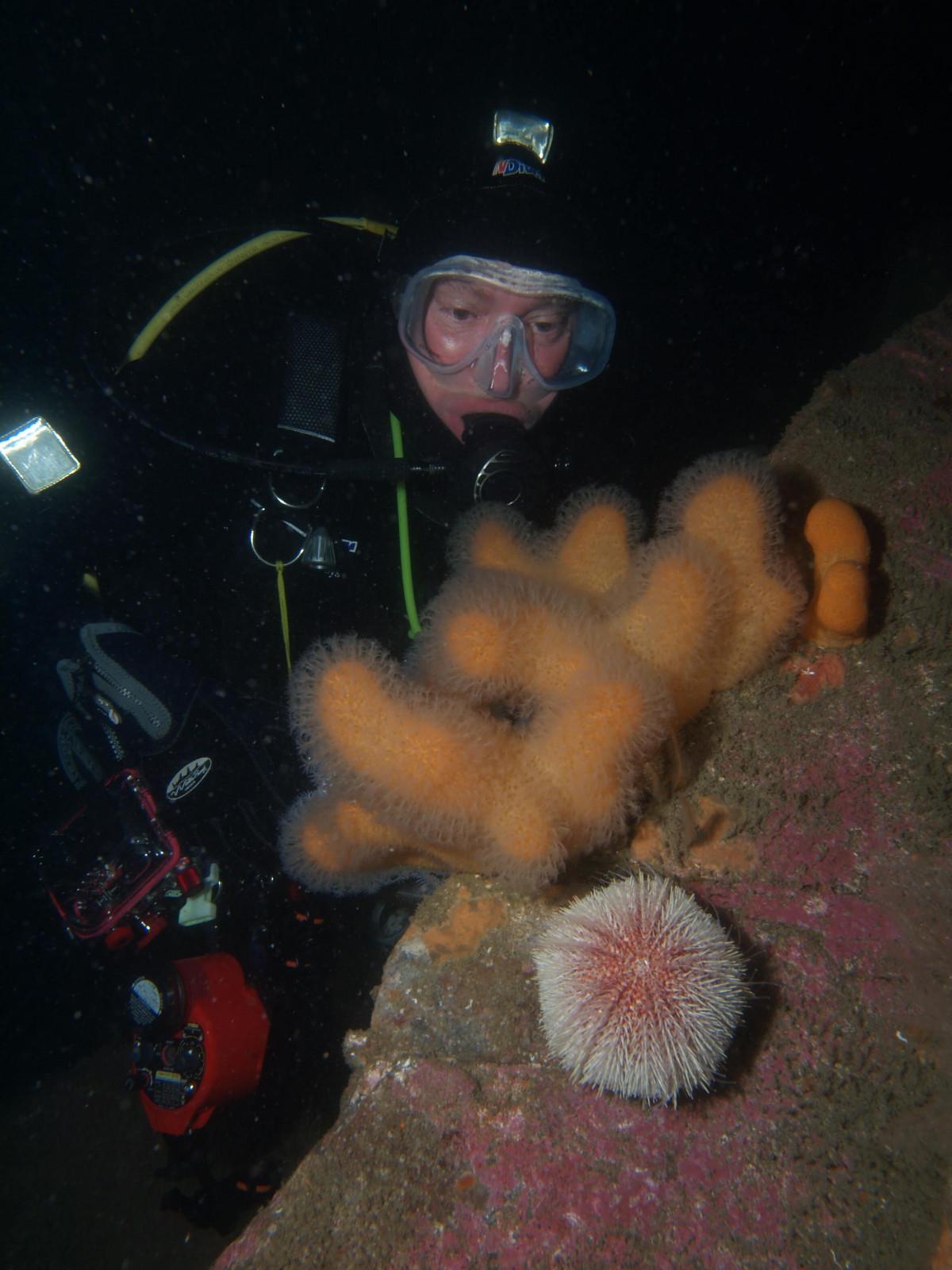 Scuba Dive at Drawna Rocks (7)