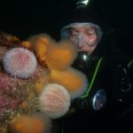 Scuba Dive at Drawna Rocks (9)