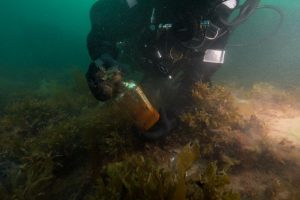 HMS Erebus, Diver Searching for Artefacts