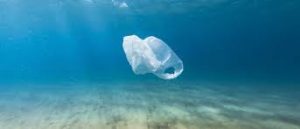 Plastic Bag in the Ocean