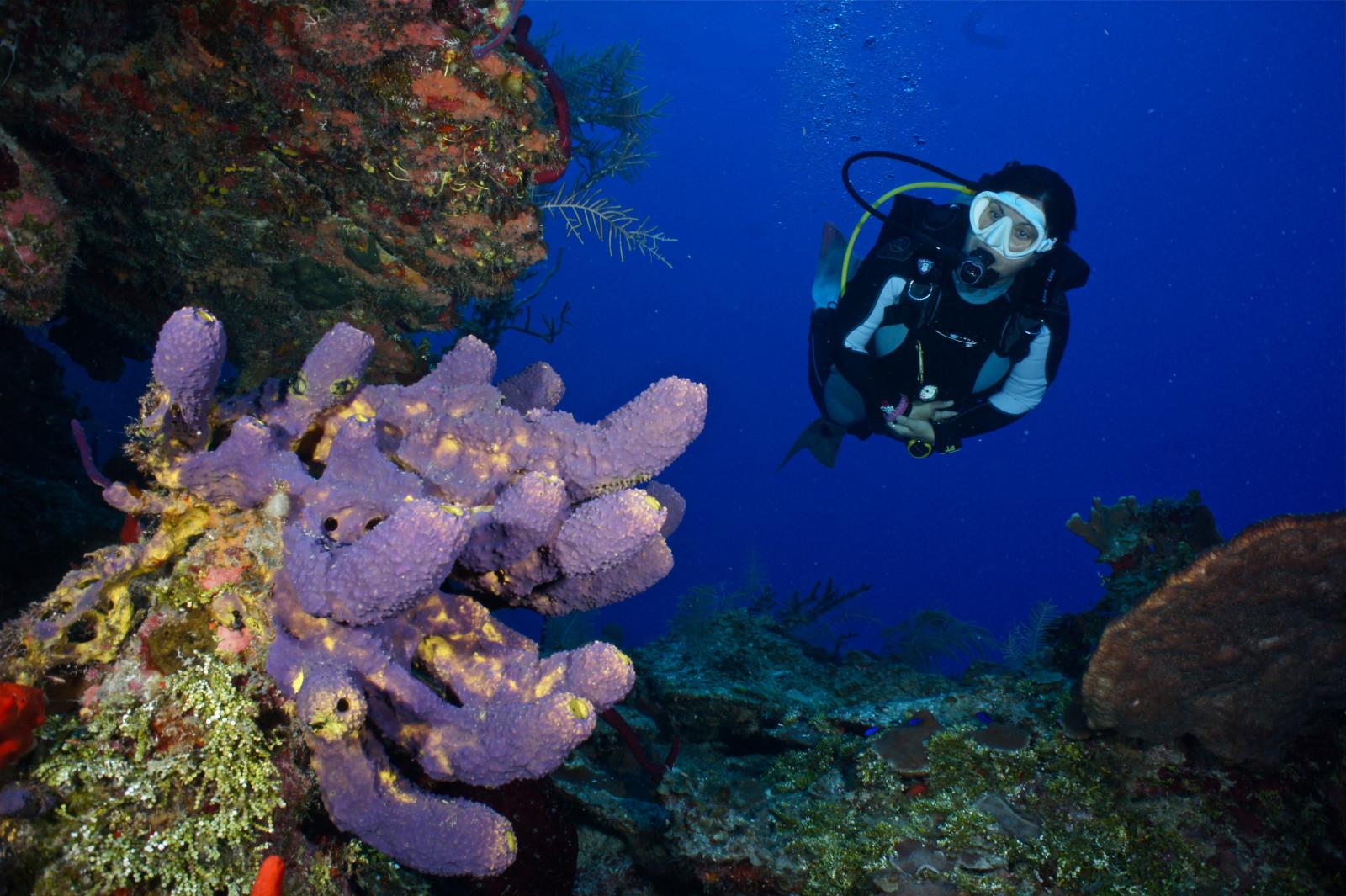 Wall diving, Cayman Islands