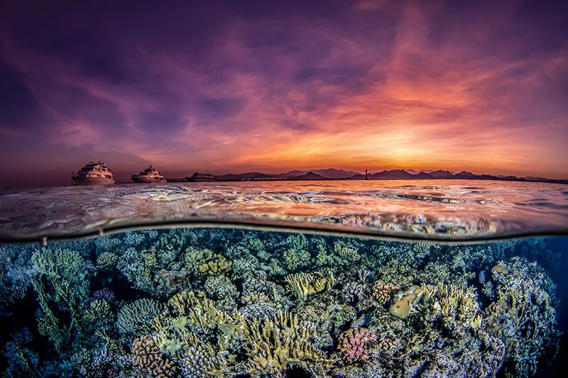 DEEP Indonesia Underwater Photo Competition winners revealed 3 DEEP Indonesia Underwater Photo Competition