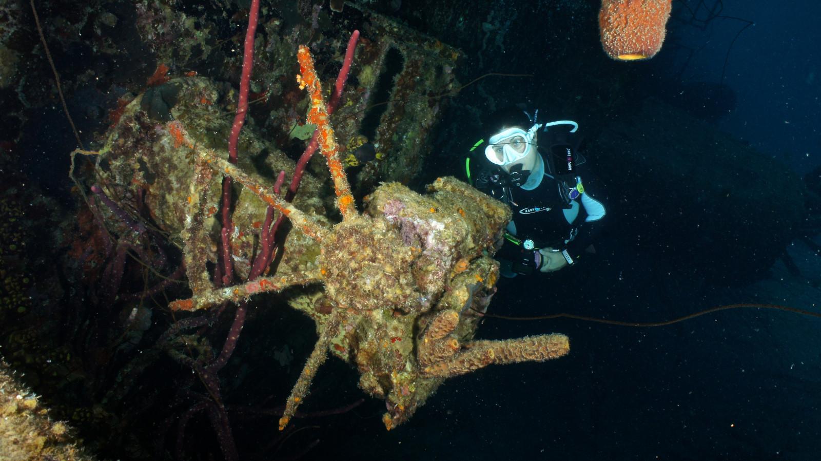 Top 10 Best Dive Sites in the World 10 Hilma Hooker, Bonaire