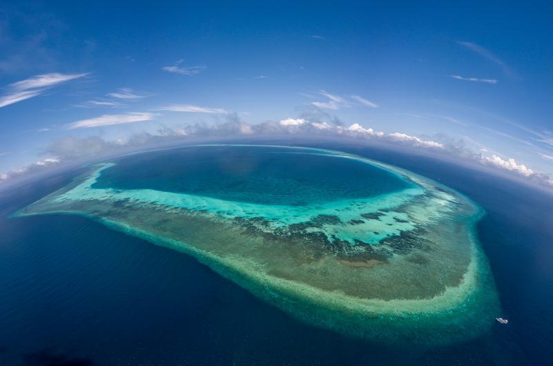 Remote reefs tubbataha philippines