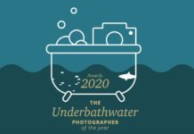 Underbathwater photographer of the year