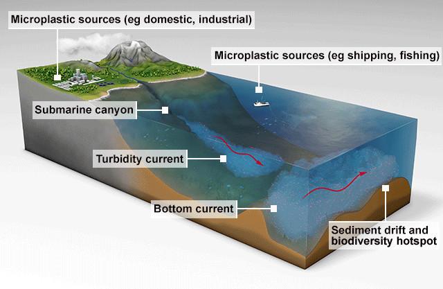 microplastics