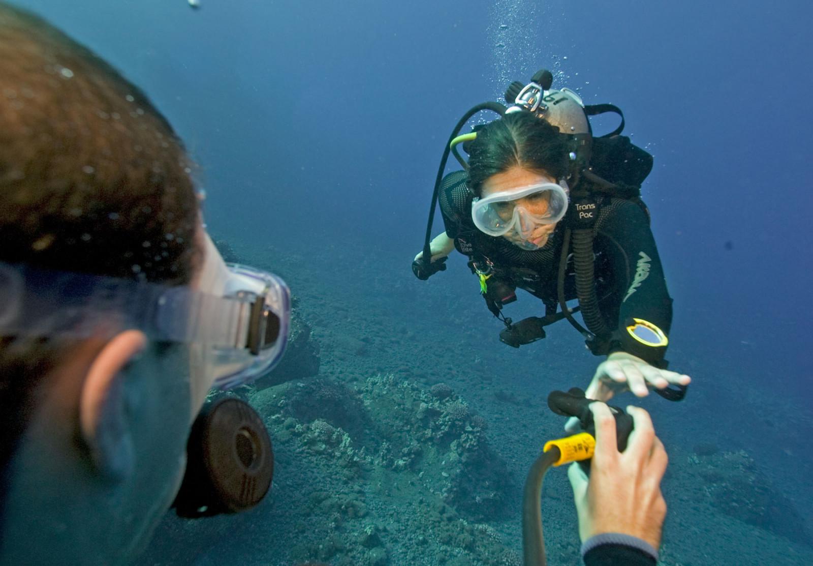 Sea Save