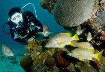 Bonaire – The home of diving freedom