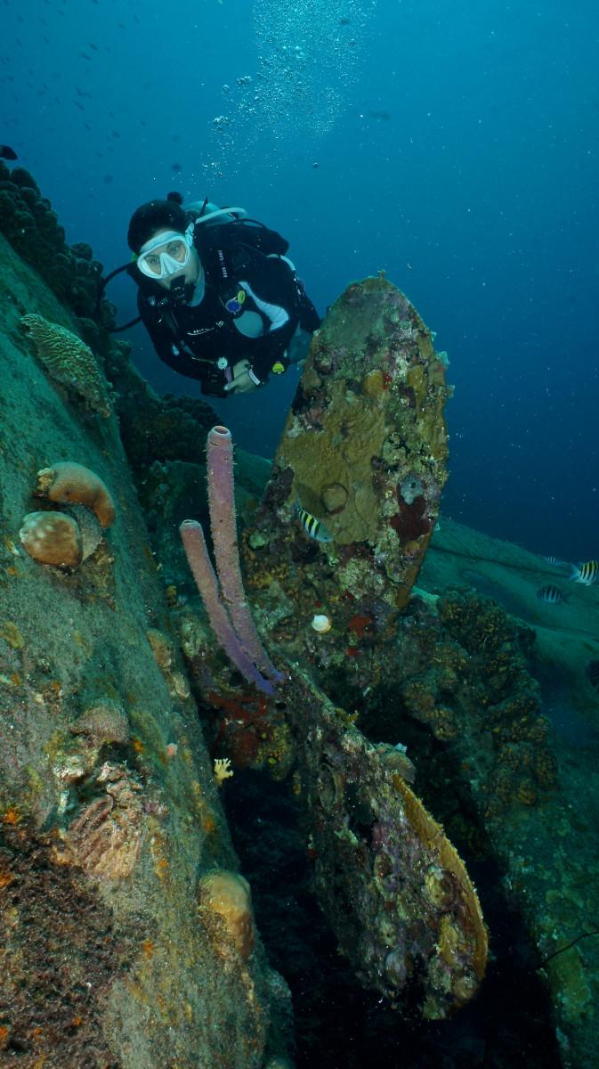 Bonaire – The home of diving freedom