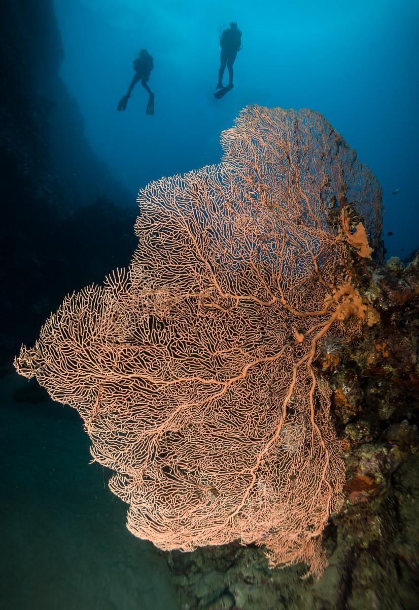 Working Underwater with Models