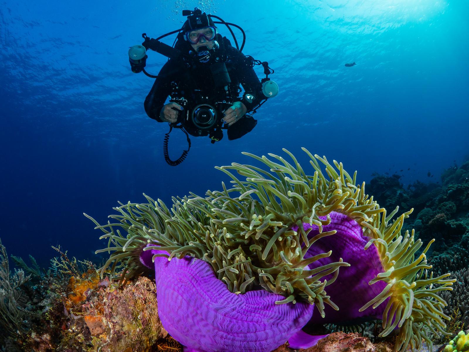 Underwater Etiquette 101 Top Tips from the Pros