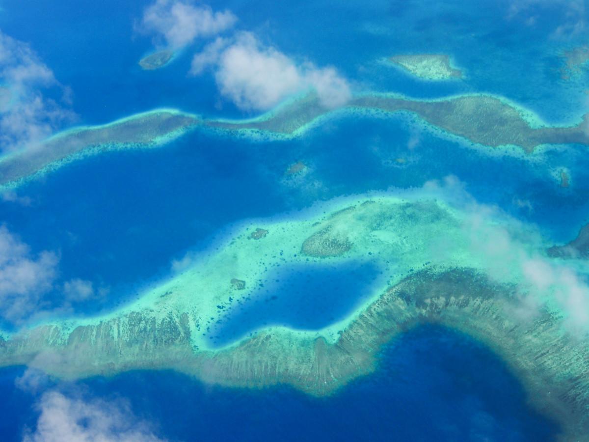 The Spectacular Reefs of New Caledonia