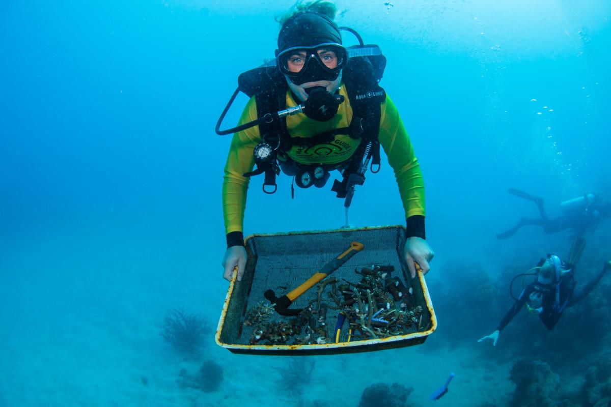 passionate about coral planting 