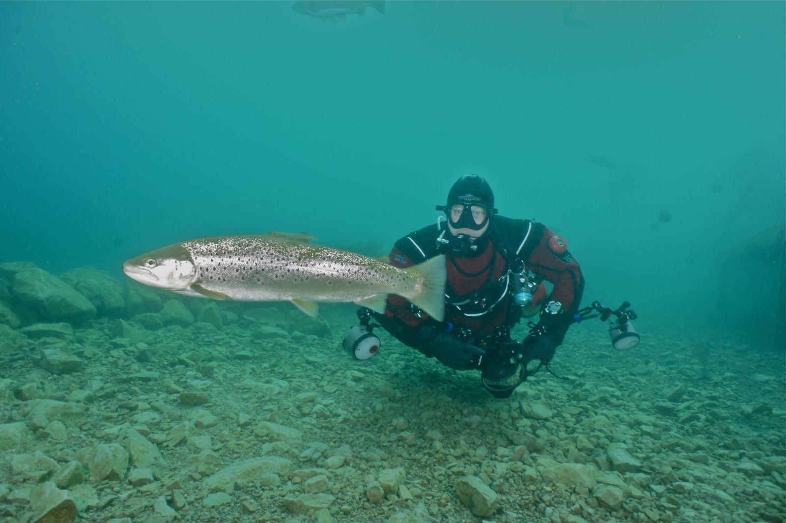 Capernwray Dive Centre