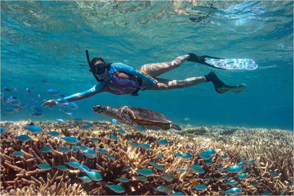 Protecting the Reef Ecosystem – Lady Musgrave Experience