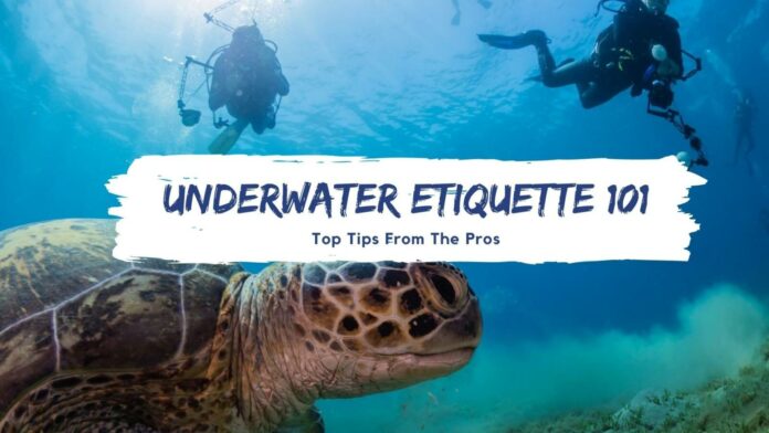 Underwater Etiquette 101
