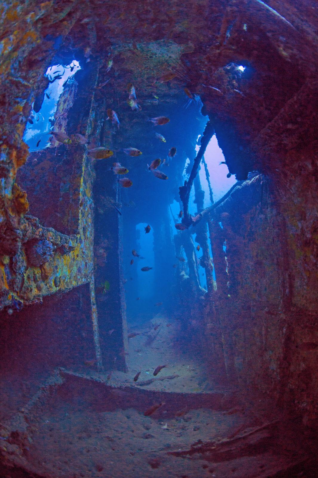 Getting Wrecked in the Stunning Tunku Abdul Rahman Park 4 Downbelow Sabah