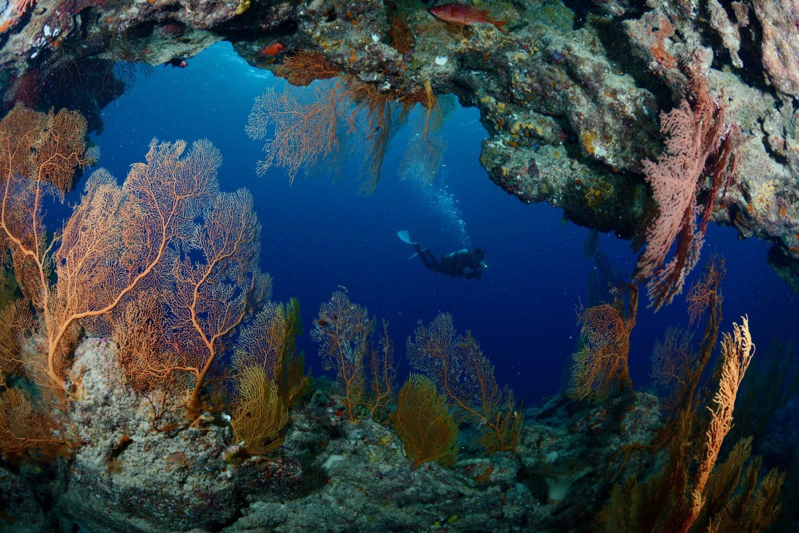 A Guide to Some of Australia's Best Dive Sites
