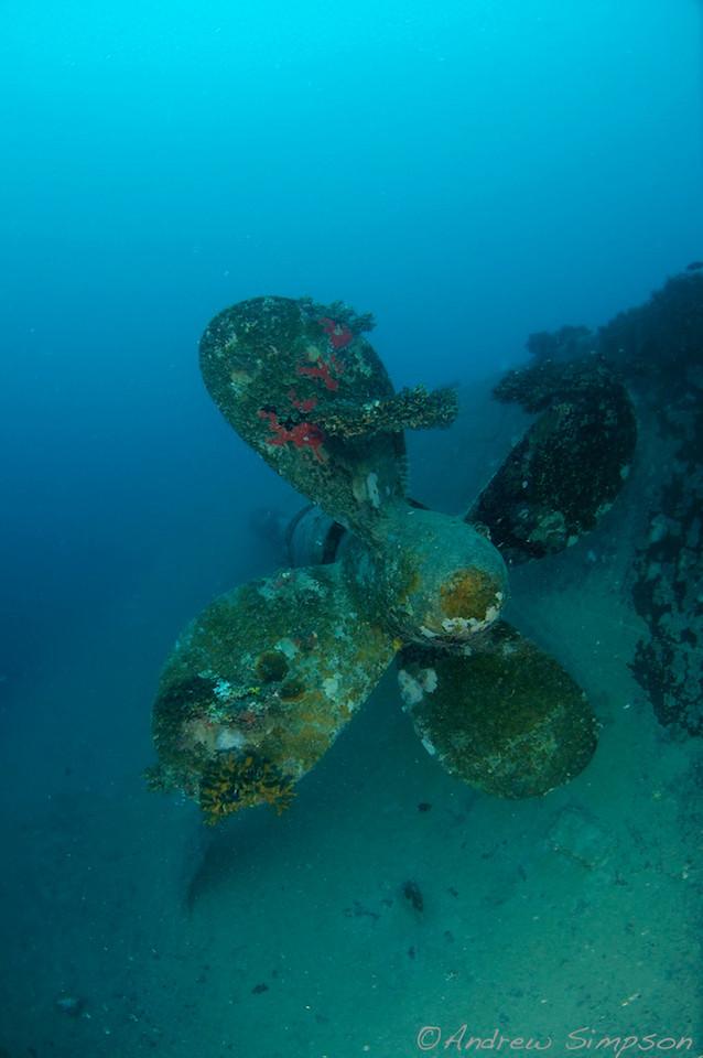Amazing Fiji Wreck Diving