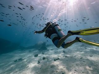 Amazing Wreck Diving in Tahiti