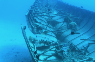 Amazing Wreck Diving in Tahiti