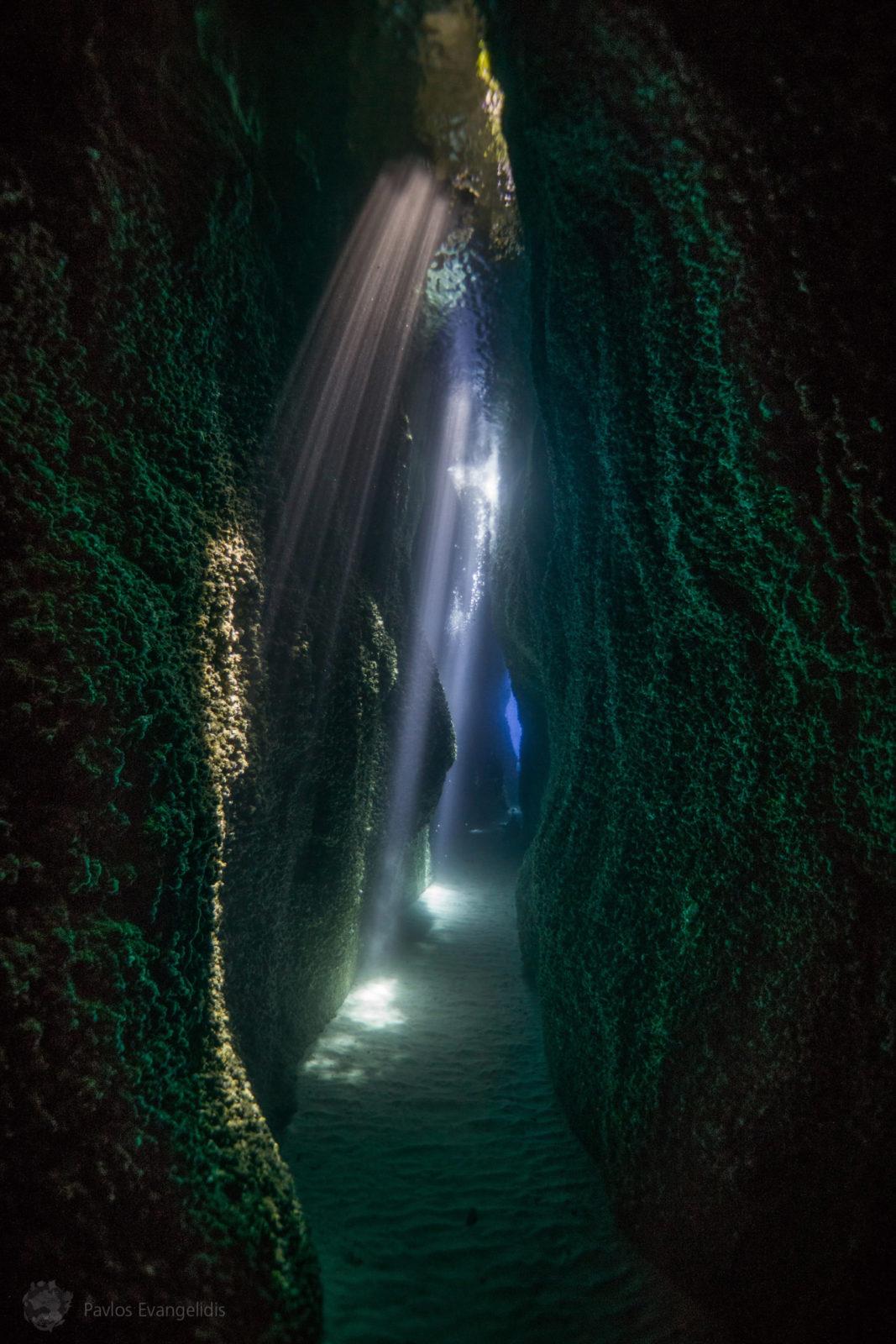 The Underwater Tour Awards 2020 Winners Announced 7 The Underwater Tour Awards 2020 Winners Announced