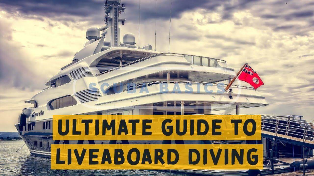 Ultimate Guide to Liveaboard Diving