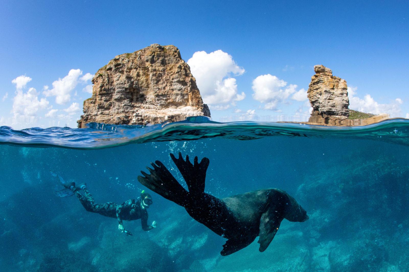 A Guide to Some of Australia's Best Dive Sites