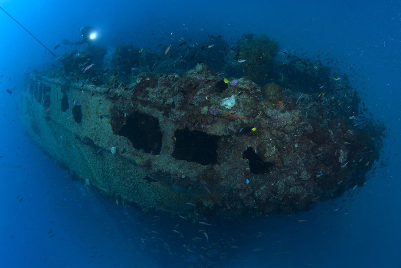 A Guide to Some of Australia's Best Dive Sites