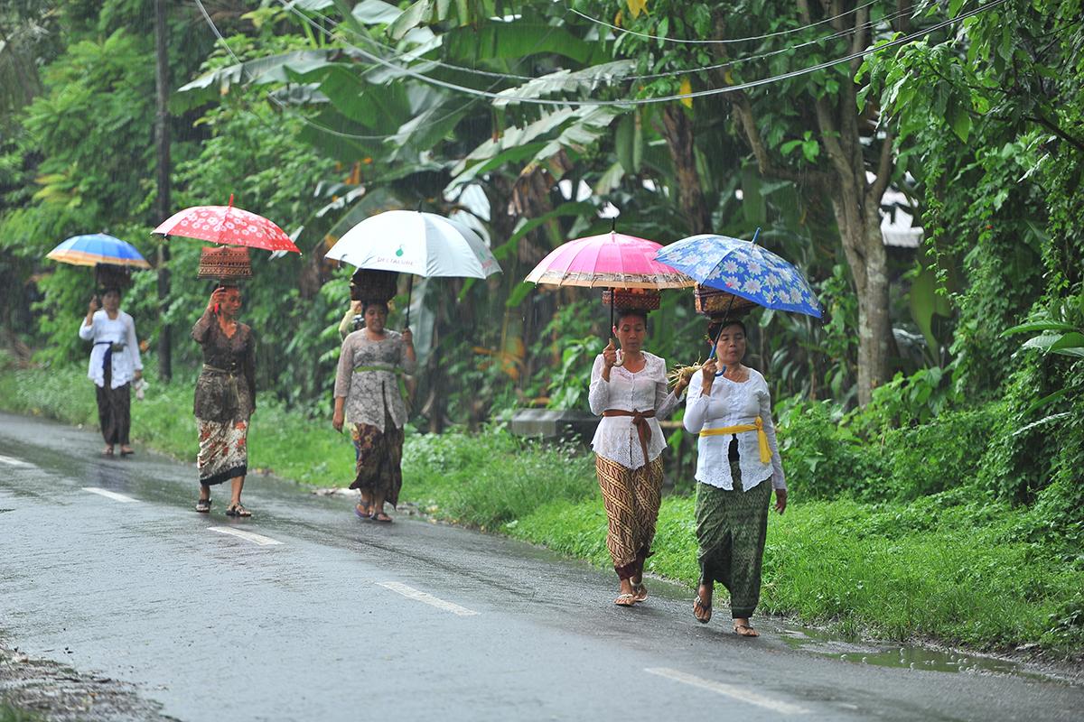 Rainy Season in Beautiful Bali 