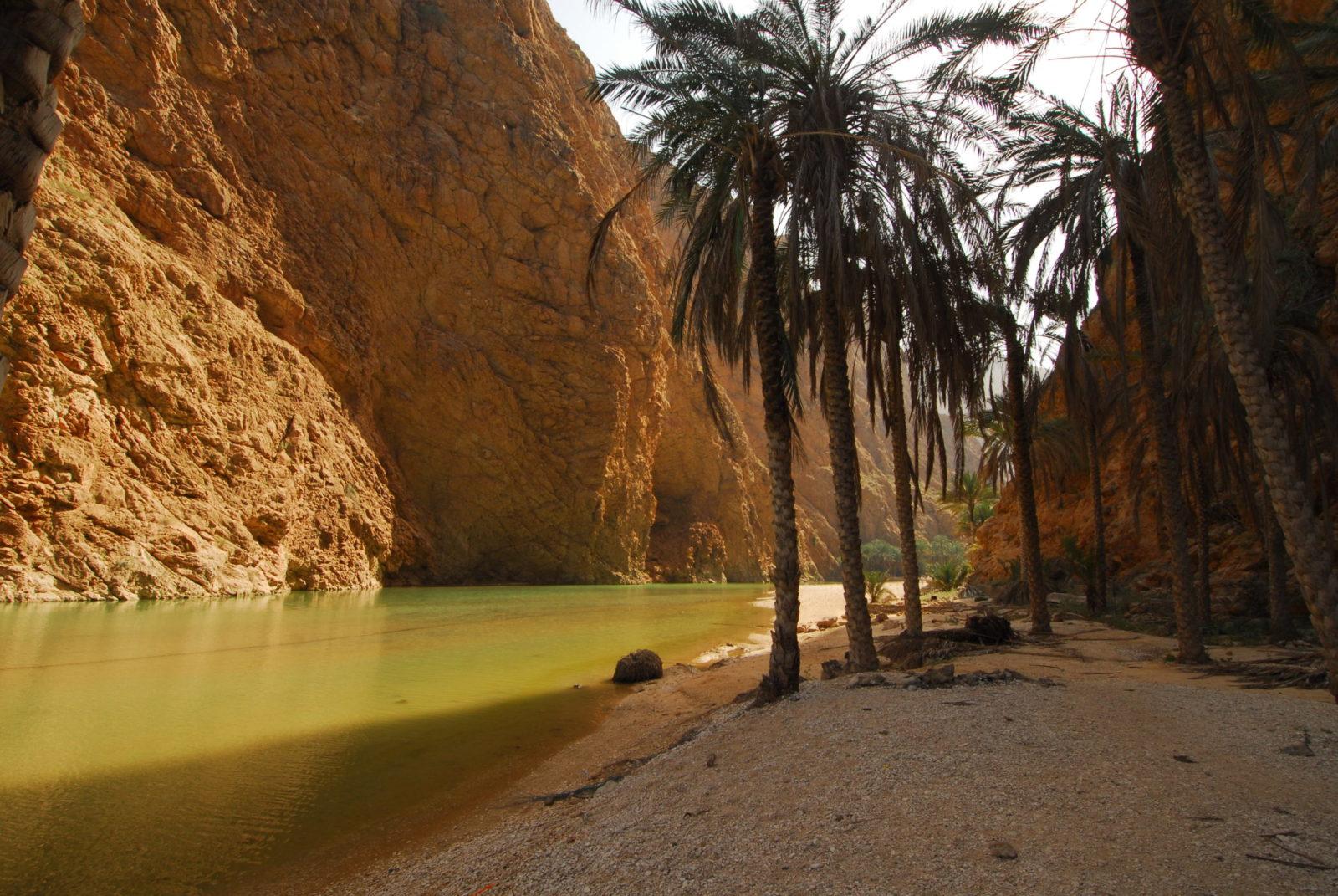 Magical Muscat Oman Diving at its Best 