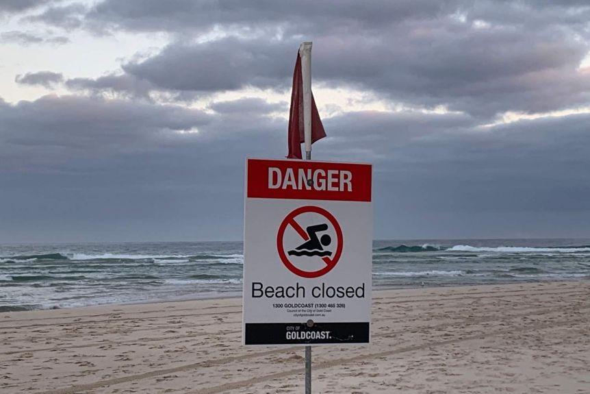 First Gold Coast Shark Attack Fatality in Over 60 Years