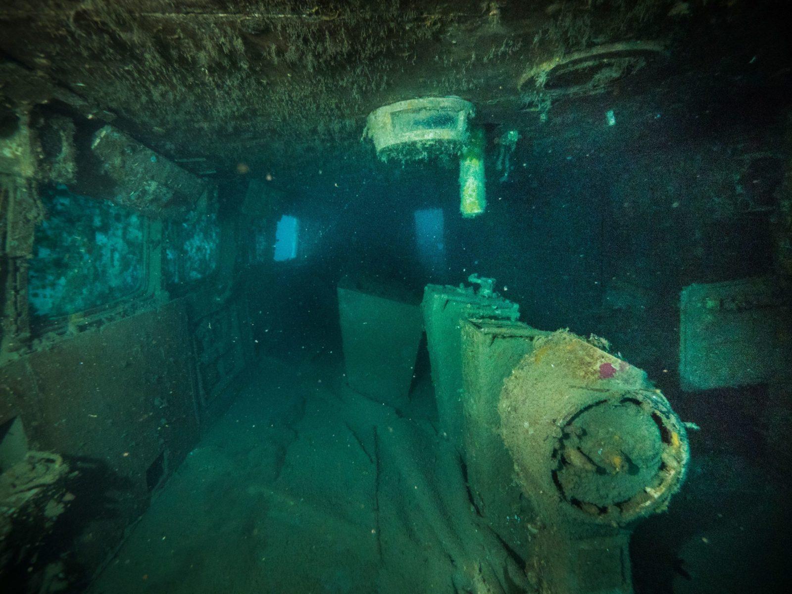 Spectacular Scuba Diving of New Zealand 7 Spectacular Diving of New Zealand
