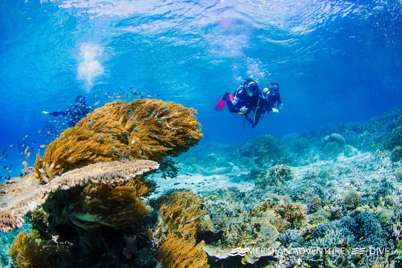 Meridian Adventure Dive - Eco-conscious Raja Ampat dive resort.