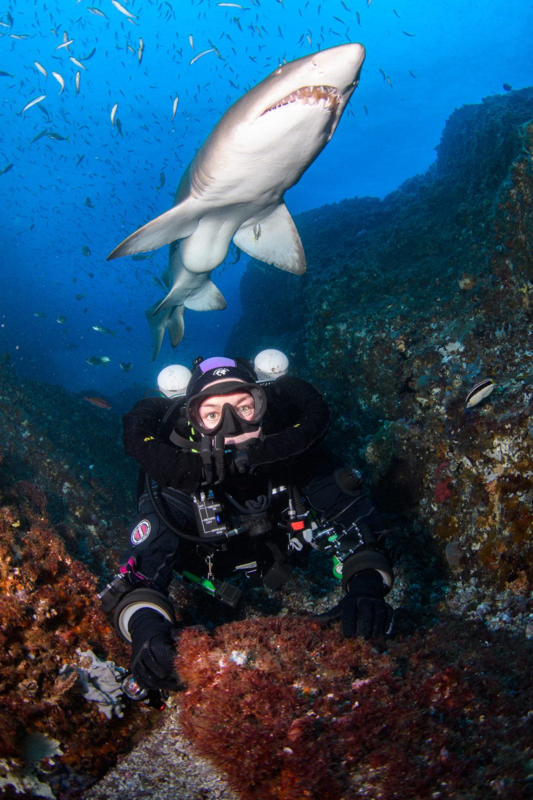 Modelling with Grey Nurse Sharks: Photography Masterclass with Nicolas and Lena REMY