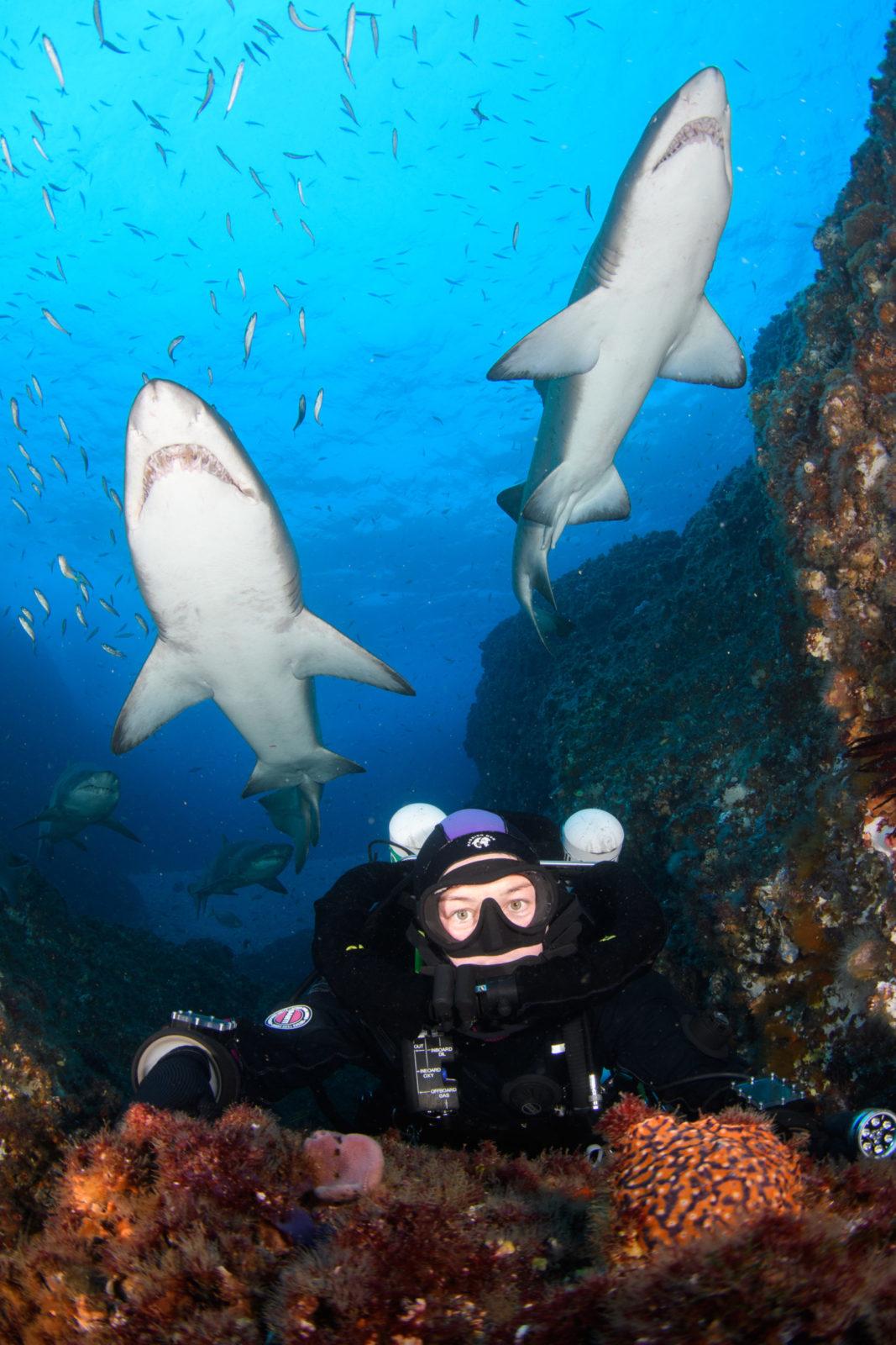 Modelling with Grey Nurse Sharks: Photography Masterclass with Nicolas and Lena REMY