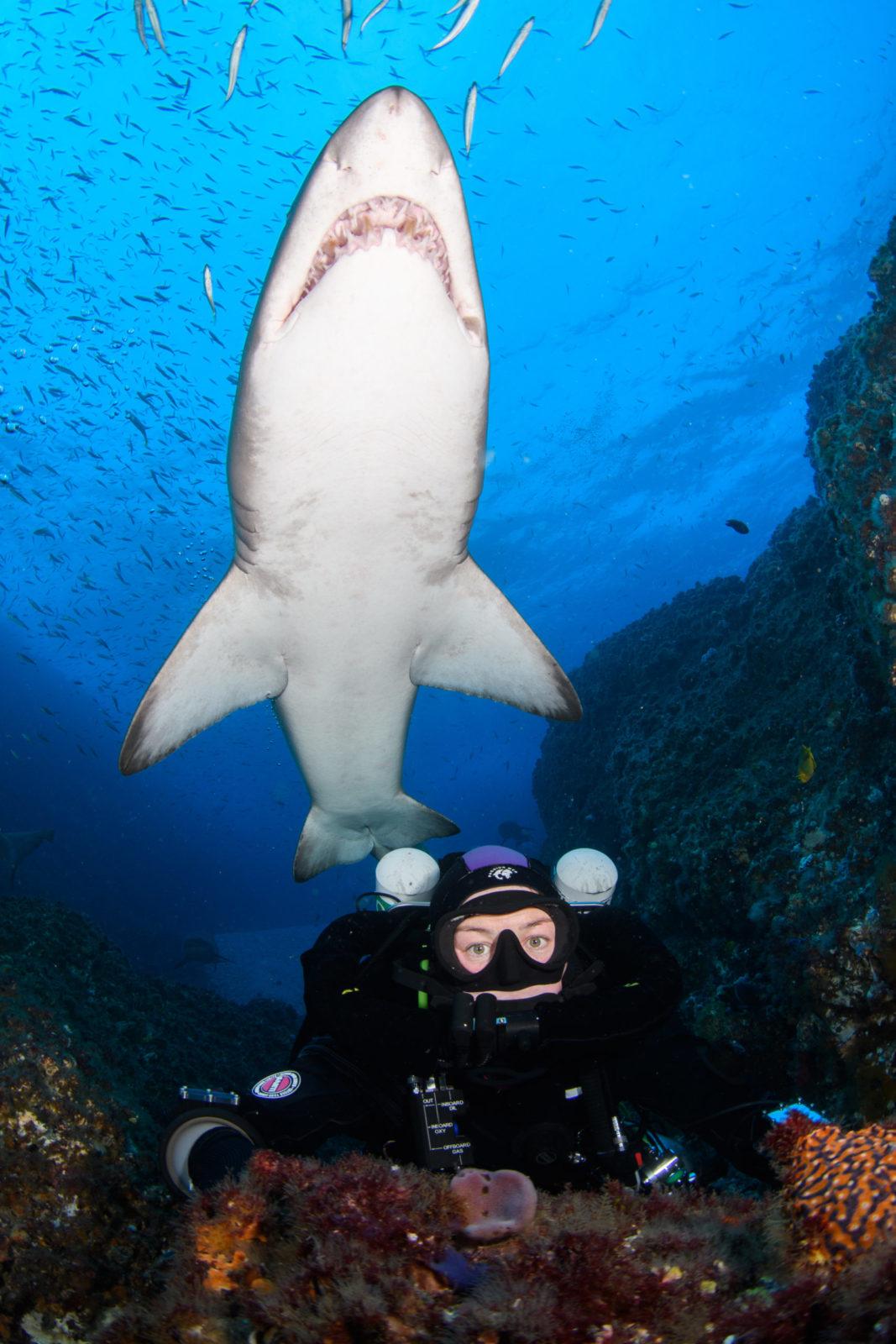 Modelling with Grey Nurse Sharks: Photography Masterclass with Nicolas and Lena REMY