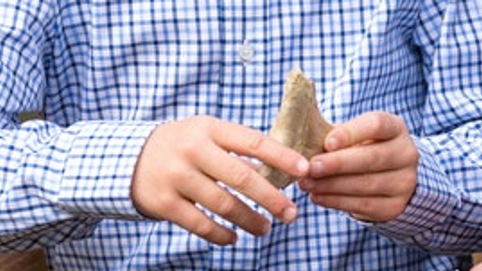 shark tooth