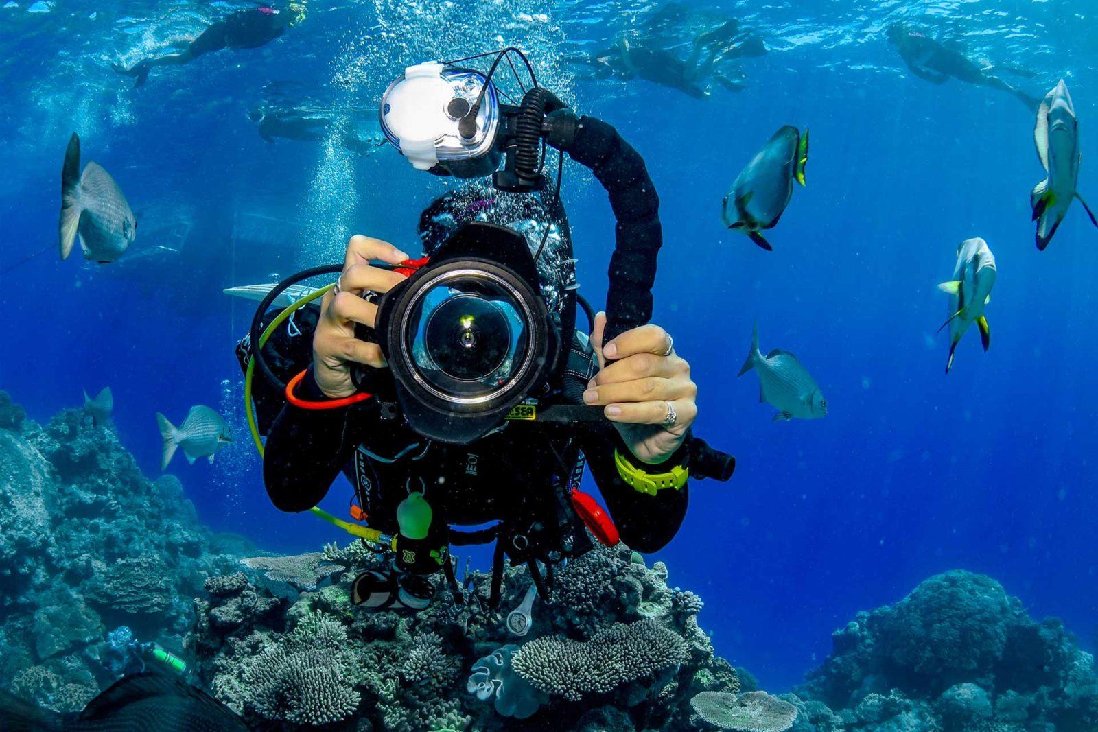 Cairns Scuba Diving