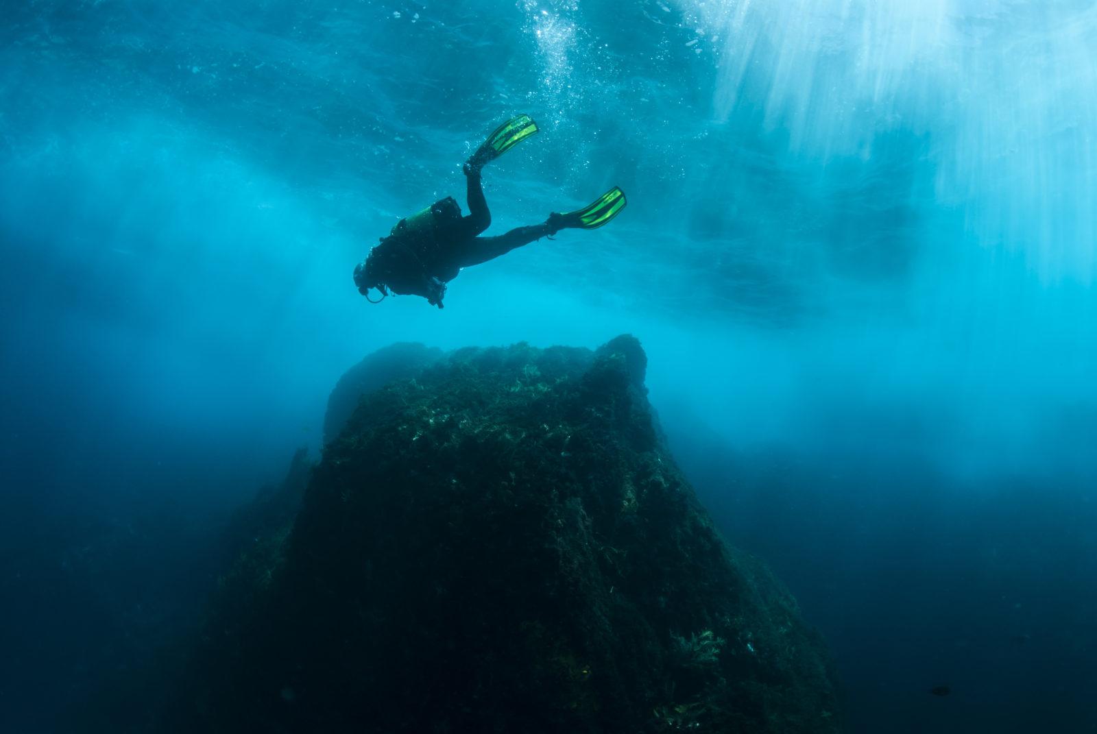 Diver swimming over Rock at Mokohinau Islands by Alex Stammers