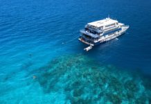 World First Reef Census Expedition