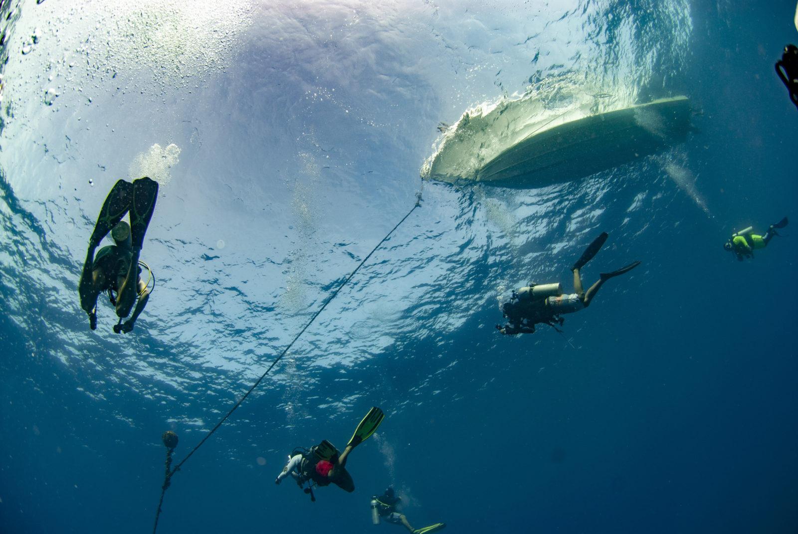 Reef Guardian of the Spectacular Lankayan Waters