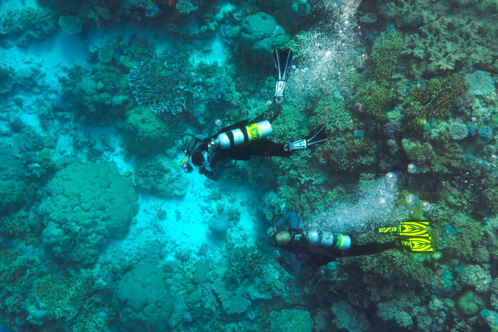 Scuba Diving Cairns